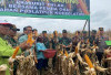 Lakukan Panen Raya Jagung untuk Jaga Ketahanan Pangan 