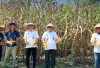 Panen Jagung, Dukung Ketahanan Pangan dan Bina Kemandirian WBP