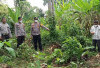 Heboh! Warga Temukan Kerangka Manusia di Kebun Pisang