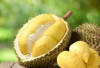 9 Tips Memilih Durian Manis dan Matang