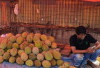 Durian OKU Gugur Sebelum Berkembang, Membuat Petani Gagal Panen 