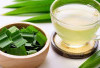 Atasi Asam Urat dengan Daun Pandan: Solusi Alami yang Mudah dan Efektif
