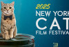 Festival Film Kucing New York 2025 Merayakan Kucing dalam Layar Lebar