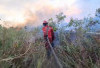 Lahan Enam Hektare Terbakar 