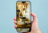 iPhone 17 Sudah Bisa Dipesan di Indonesia! Cek Harga, Jadwal, dan Cara Pre-Order di iBox dan Digimap