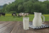 Keunggulan Susu Sapi yang Tidak Dimiliki Susu Lainnya