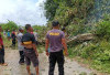 Kompak Gotong Royong Bersihkan Jalan dan Benahi Pos Kamling