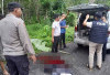 Pemuda di OKU Timur Tewas Tertimpa Pohon Tumbang Saat Hujan Deras