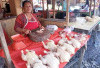 Harga Daging Ayam Alami Kenaikan