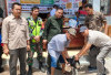 Cegah Rabies, Dinas Peternakan OKU Selatan Sediakan Vaksinasi Gratis