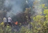Diduga Dipicu Puntung Rokok, Hanguskan Sekitar 4 Hektare Lahan 