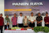 Dukung Ketahanan Pangan Nasional, Lapas Muaradua Gelar Panen Raya