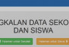 Cara Mudah dan Cepat Mengisi PDSS 2025, Manual atau Sinkronisasi e-Rapor?