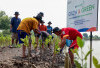 Peringati Hari Mangrove Sedunia, BRI Pertegas Komitmen Selamatkan Lingkungan Lewat Perbaikan Ekosistem Pesisir