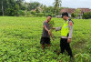 Beri Pendampingan Kepada Petani