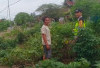 Dorong Ketahanan Pangan Lewat Kebun Desa Binaan