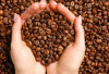 Rahasia Kopi untuk Rambut Sehat