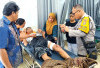 Buaya Muara Kian Meresahkan di Sumsel