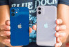 iPhone 11 Masih Jadi Favorit Flagship Murah di 2025, Ini Alasannya!