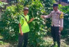 Ajak Warga Tanam Sayur di Pekarangan untuk Ketahanan Pangan