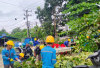 Sinergi Pemda Merangin dan PLN Bersihkan Kota Bangko, Jaga Lingkungan Sekaligus Keandalan Listrik