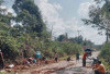 Warga Gotong Royong Tambal Jalan Berlubang