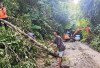 BPBD OKU Selatan Imbau Warga Waspadai Ancaman Longsor