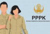 PPPK di Banyuasin Belum Terima Gaji, Ternyata ini Penyebabnya