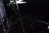 Gerak Cepat PLN Pulihkan Listrik Akibat Cuaca Ekstrem di OKU