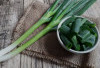 Rahasia Sehat di Balik Daun Bawang yang Jarang Diketahui