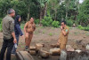 Candi Jepara Dipugar: Satu-Satunya Candi Batu di Sumsel Siap Jadi Wisata Budaya