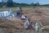 Warga Rantau Panjang Minta Irigasi Sawah, Harapkan Perhatian Pemkab OKU Selatan
